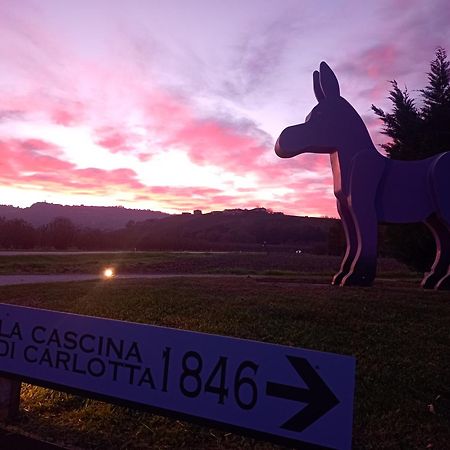 La Cascina Di Carlotta 1846 Agriturismo Alba  Eksteriør bilde