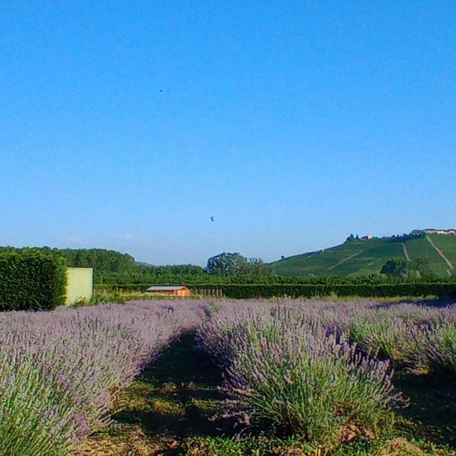 La Cascina Di Carlotta 1846 Agriturismo Alba  Eksteriør bilde