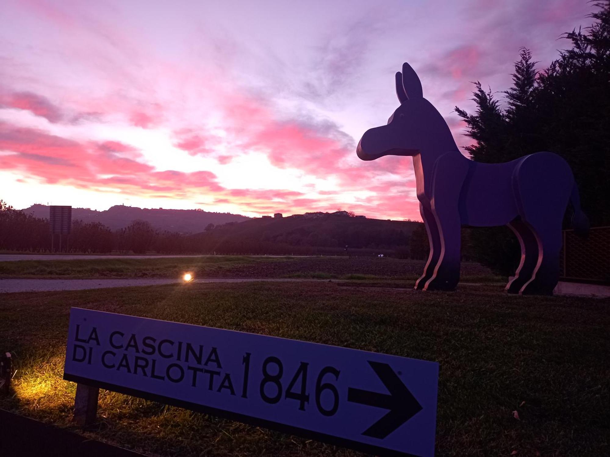 La Cascina Di Carlotta 1846 Agriturismo Alba  Eksteriør bilde